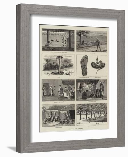 Snakes in India-null-Framed Giclee Print