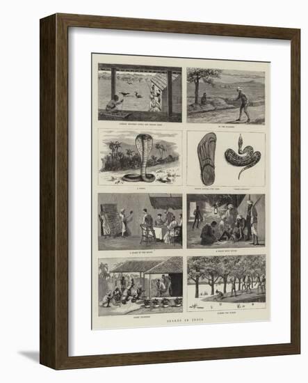 Snakes in India-null-Framed Giclee Print