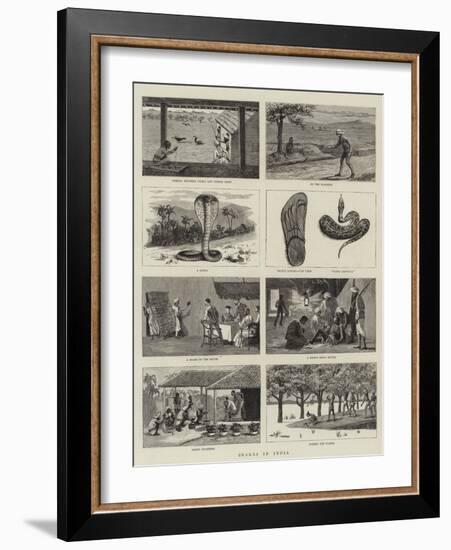 Snakes in India-null-Framed Giclee Print