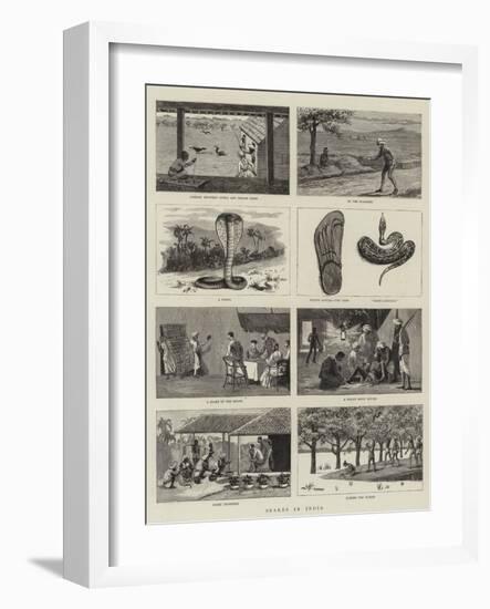 Snakes in India-null-Framed Giclee Print