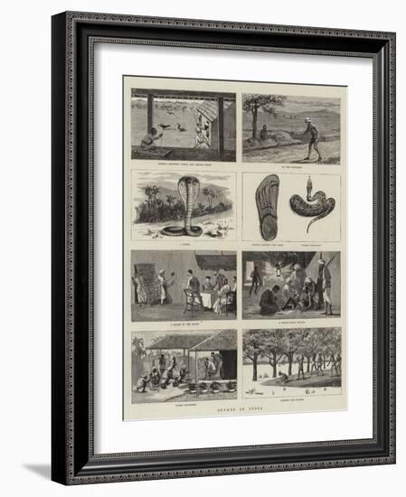 Snakes in India-null-Framed Giclee Print