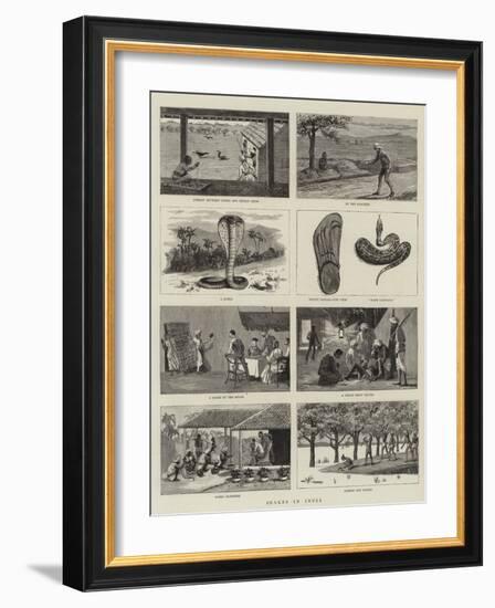 Snakes in India-null-Framed Giclee Print