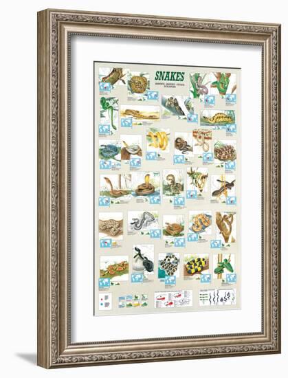 Snakes-null-Framed Premium Giclee Print