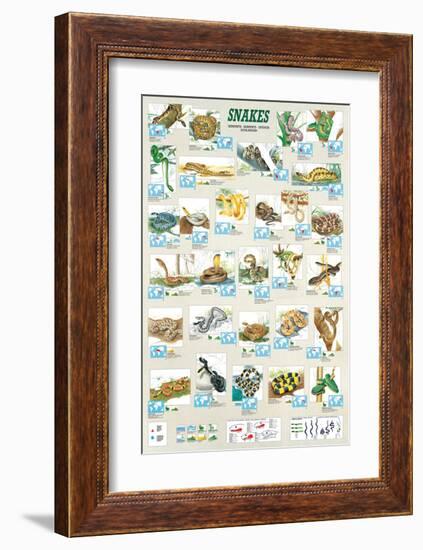 Snakes-null-Framed Premium Giclee Print