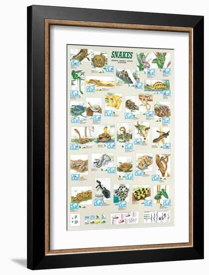 Snakes-null-Framed Premium Giclee Print