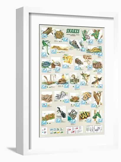 Snakes-null-Framed Premium Giclee Print