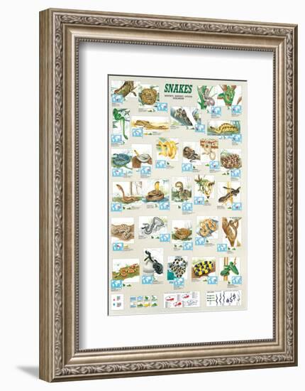 Snakes-null-Framed Art Print