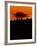 Snapbridge-Tim Kahane-Framed Photographic Print