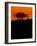 Snapbridge-Tim Kahane-Framed Photographic Print