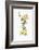 Snapdragon Scent-Lisa Danielle-Framed Giclee Print