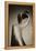 Snape Maltings, Suffolk England-Tim Kahane-Framed Premier Image Canvas