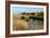 Snape, Suffolk-Peter Thompson-Framed Photographic Print