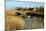 Snape, Suffolk-Peter Thompson-Mounted Photographic Print