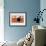 Snapshot - Ochre-Tom Frazier-Framed Giclee Print displayed on a wall