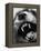 Snarling Dog-Henry Horenstein-Framed Premier Image Canvas