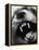 Snarling Dog-Henry Horenstein-Framed Premier Image Canvas