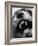 Snarling Dog-Henry Horenstein-Framed Photographic Print