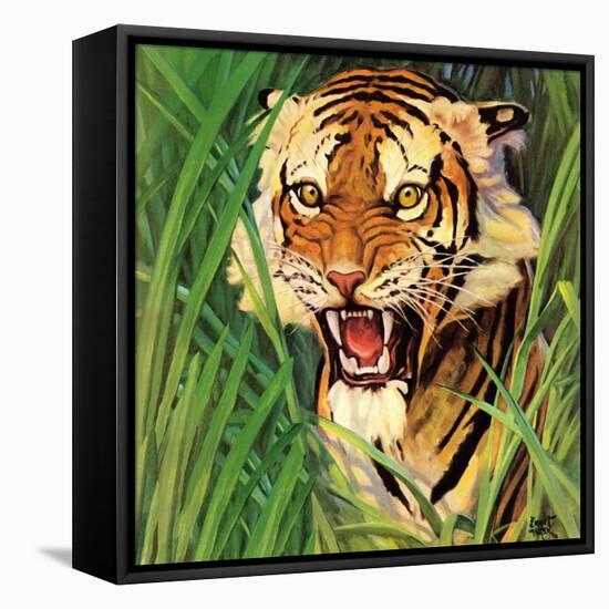 "Snarling Tiger," April 19, 1941-Emmett Watson-Framed Premier Image Canvas