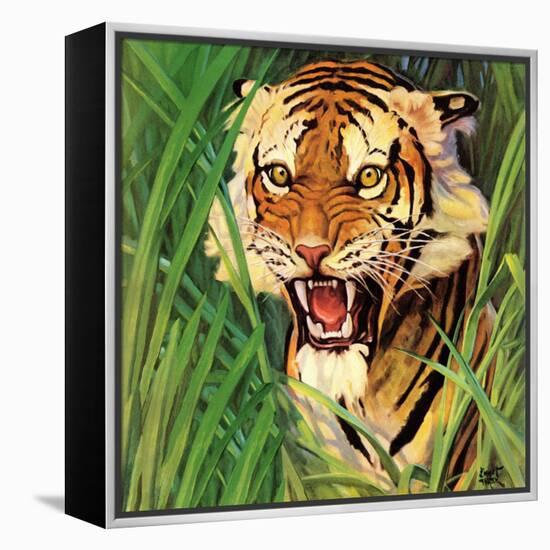 "Snarling Tiger," April 19, 1941-Emmett Watson-Framed Premier Image Canvas