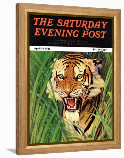 "Snarling Tiger," Saturday Evening Post Cover, April 19, 1941-Emmett Watson-Framed Premier Image Canvas