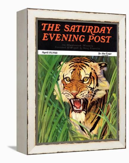 "Snarling Tiger," Saturday Evening Post Cover, April 19, 1941-Emmett Watson-Framed Premier Image Canvas