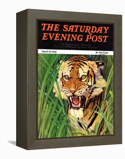 "Snarling Tiger," Saturday Evening Post Cover, April 19, 1941-Emmett Watson-Framed Premier Image Canvas