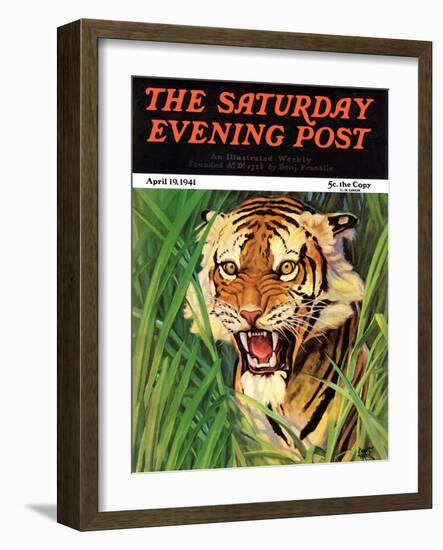 "Snarling Tiger," Saturday Evening Post Cover, April 19, 1941-Emmett Watson-Framed Giclee Print
