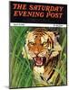 "Snarling Tiger," Saturday Evening Post Cover, April 19, 1941-Emmett Watson-Mounted Giclee Print