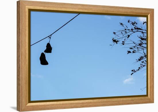 Sneakers on a Wire-null-Framed Stretched Canvas