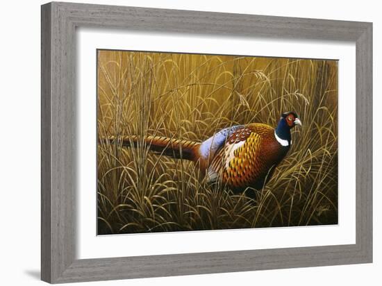 Sneaking Through the Long Grass - Ring Neck Pheasant-Wilhelm Goebel-Framed Giclee Print