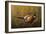 Sneaking Through the Long Grass - Ring Neck Pheasant-Wilhelm Goebel-Framed Giclee Print