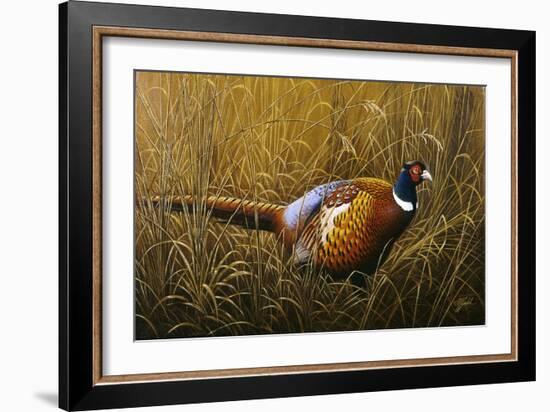 Sneaking Through the Long Grass - Ring Neck Pheasant-Wilhelm Goebel-Framed Giclee Print