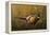 Sneaking Through the Long Grass - Ring Neck Pheasant-Wilhelm Goebel-Framed Premier Image Canvas