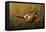 Sneaking Through the Long Grass - Ring Neck Pheasant-Wilhelm Goebel-Framed Premier Image Canvas