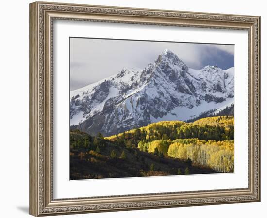 Sneffels Range with Aspens in Fall Colors, Near Ouray, Colorado-James Hager-Framed Photographic Print