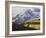 Sneffels Range with Aspens in Fall Colors, Near Ouray, Colorado-James Hager-Framed Photographic Print