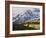 Sneffels Range with Aspens in Fall Colors, Near Ouray, Colorado-James Hager-Framed Photographic Print