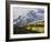 Sneffels Range with Aspens in Fall Colors, Near Ouray, Colorado-James Hager-Framed Photographic Print