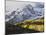 Sneffels Range with Aspens in Fall Colors, Near Ouray, Colorado-James Hager-Mounted Photographic Print