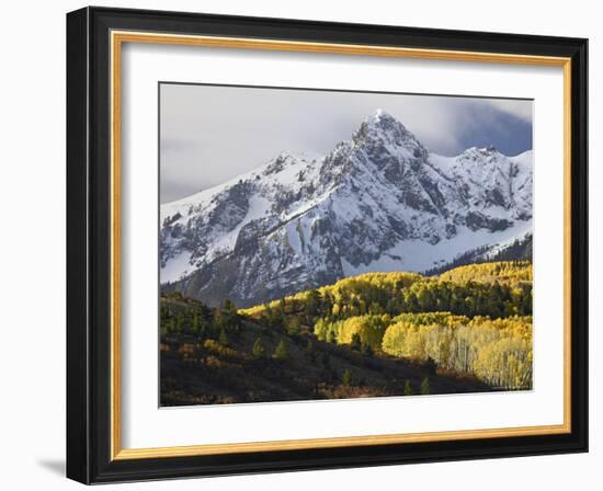 Sneffels Range with Aspens in Fall Colors, Near Ouray, Colorado-James Hager-Framed Photographic Print