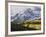 Sneffels Range with Aspens in Fall Colors, Near Ouray, Colorado-James Hager-Framed Photographic Print