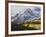 Sneffels Range with Aspens in Fall Colors, Near Ouray, Colorado-James Hager-Framed Photographic Print