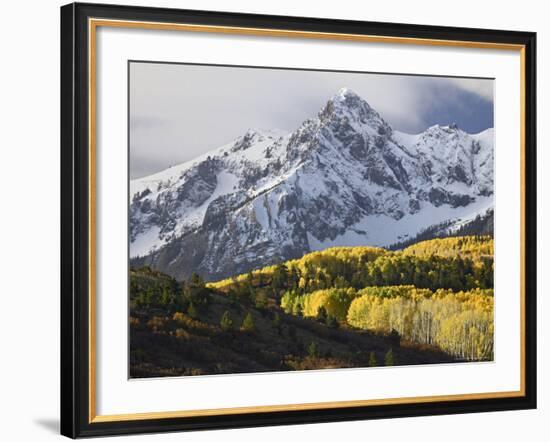 Sneffels Range with Aspens in Fall Colors, Near Ouray, Colorado-James Hager-Framed Photographic Print