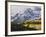 Sneffels Range with Aspens in Fall Colors, Near Ouray, Colorado-James Hager-Framed Photographic Print