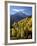 Sneffels Range with Fall Colors Near Dallas Divide, Uncompahgre National Forest, Colorado-James Hager-Framed Photographic Print