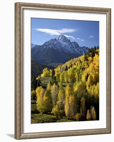 Sneffels Range with Fall Colors Near Dallas Divide, Uncompahgre National Forest, Colorado-James Hager-Framed Photographic Print