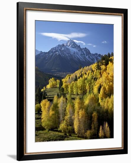 Sneffels Range with Fall Colors Near Dallas Divide, Uncompahgre National Forest, Colorado-James Hager-Framed Photographic Print