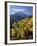 Sneffels Range with Fall Colors Near Dallas Divide, Uncompahgre National Forest, Colorado-James Hager-Framed Photographic Print