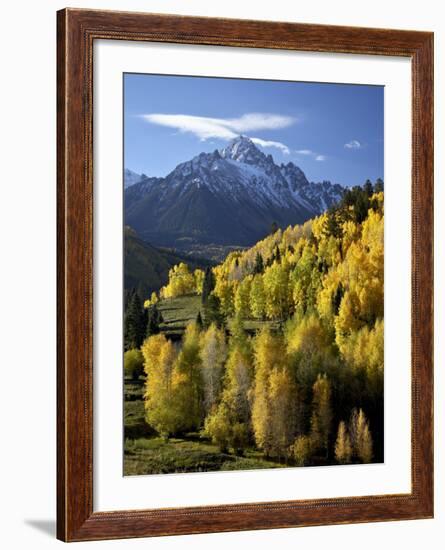 Sneffels Range with Fall Colors Near Dallas Divide, Uncompahgre National Forest, Colorado-James Hager-Framed Photographic Print