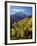 Sneffels Range with Fall Colors Near Dallas Divide, Uncompahgre National Forest, Colorado-James Hager-Framed Photographic Print